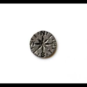 Compass Lapel Pin